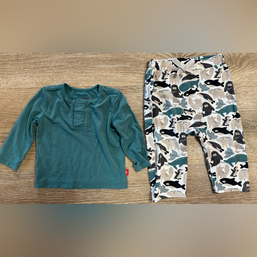 Magnetic Me Outfit
